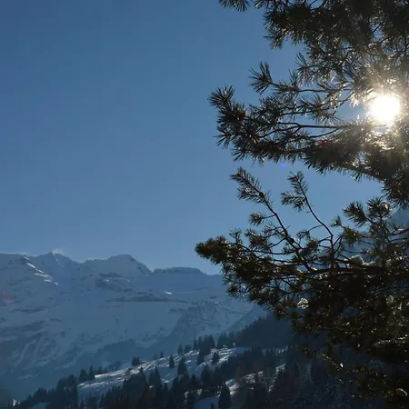 Zimmermann By Interhome Kiental