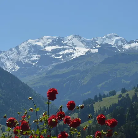 Zimmermann By Interhome Lejlighed