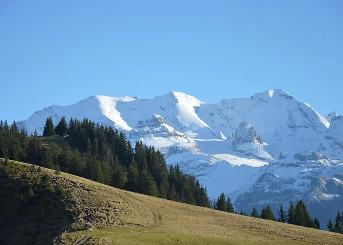 Zimmermann By Interhome شقة *